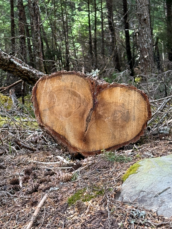 What Does it Mean to Love the Land?